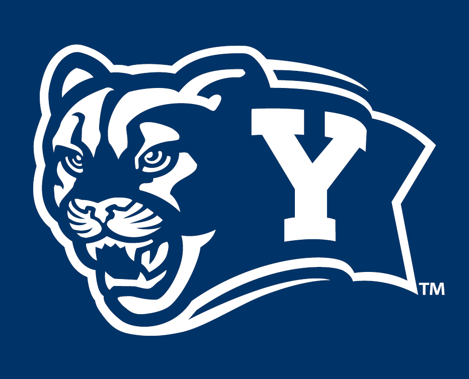 Brigham Young Cougars 2005-Pres Alternate Logo v7 diy iron on heat transfer